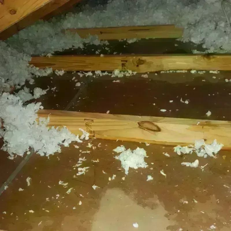 Attic Water Damage in Fairfax, OH