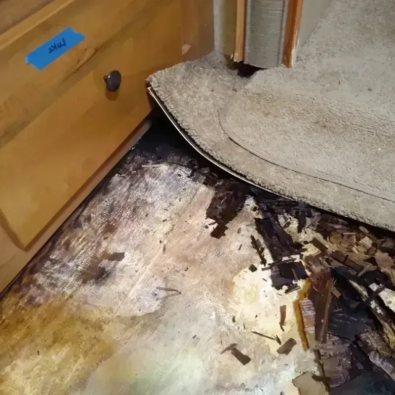 Wood Floor Water Damage in Fairfax, OH